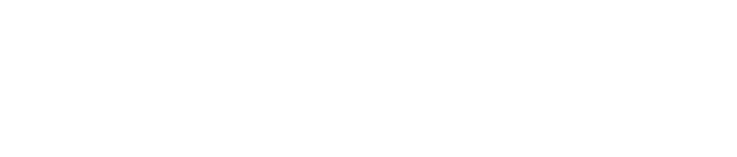 L'èlite della bellezza